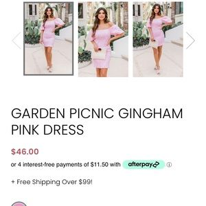 Pink Lilly adorable pink checkered dress. NEVER WORN!